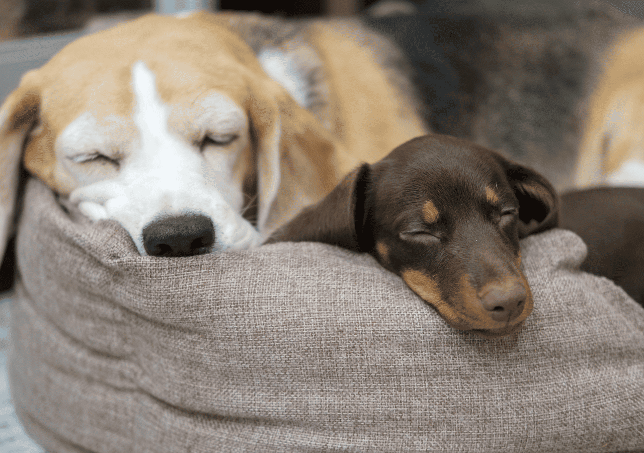 Appartement am Achensee Naturetouch